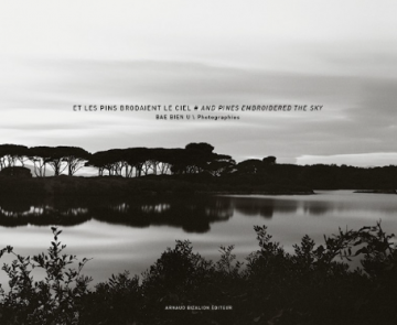 Bea Bien U Et les pins brodaient le ciel Photographe Chaumont-Photo-sur-Loire